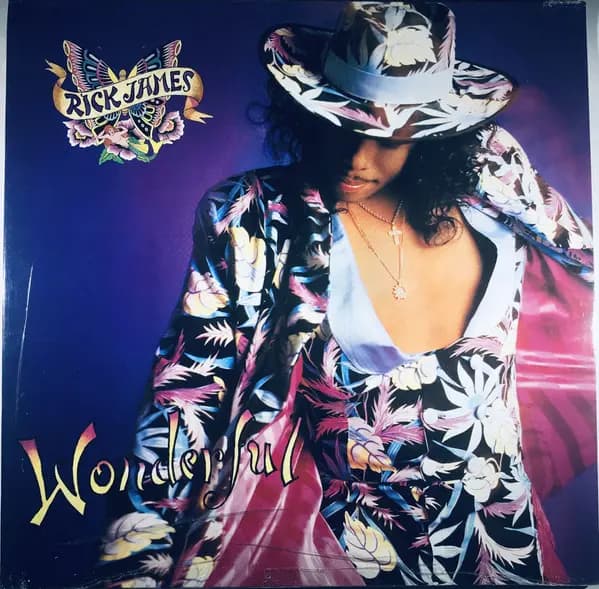 Wonderful - Rick James