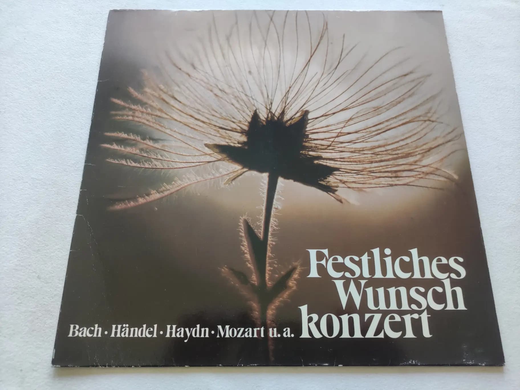 Główne zdjęcie - Various - Festliches Wunschkonzert