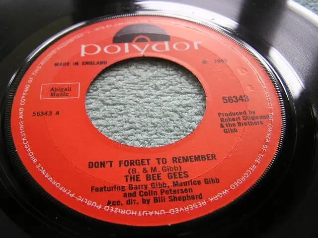 Główne zdjęcie - Bee Gees - Don't Forget To Remember