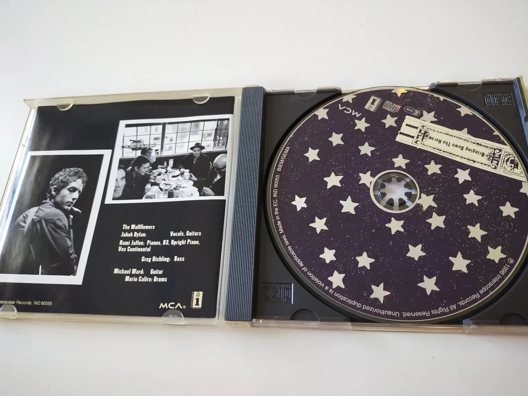 Główne zdjęcie - The Wallflowers - Bringing Down The Horse