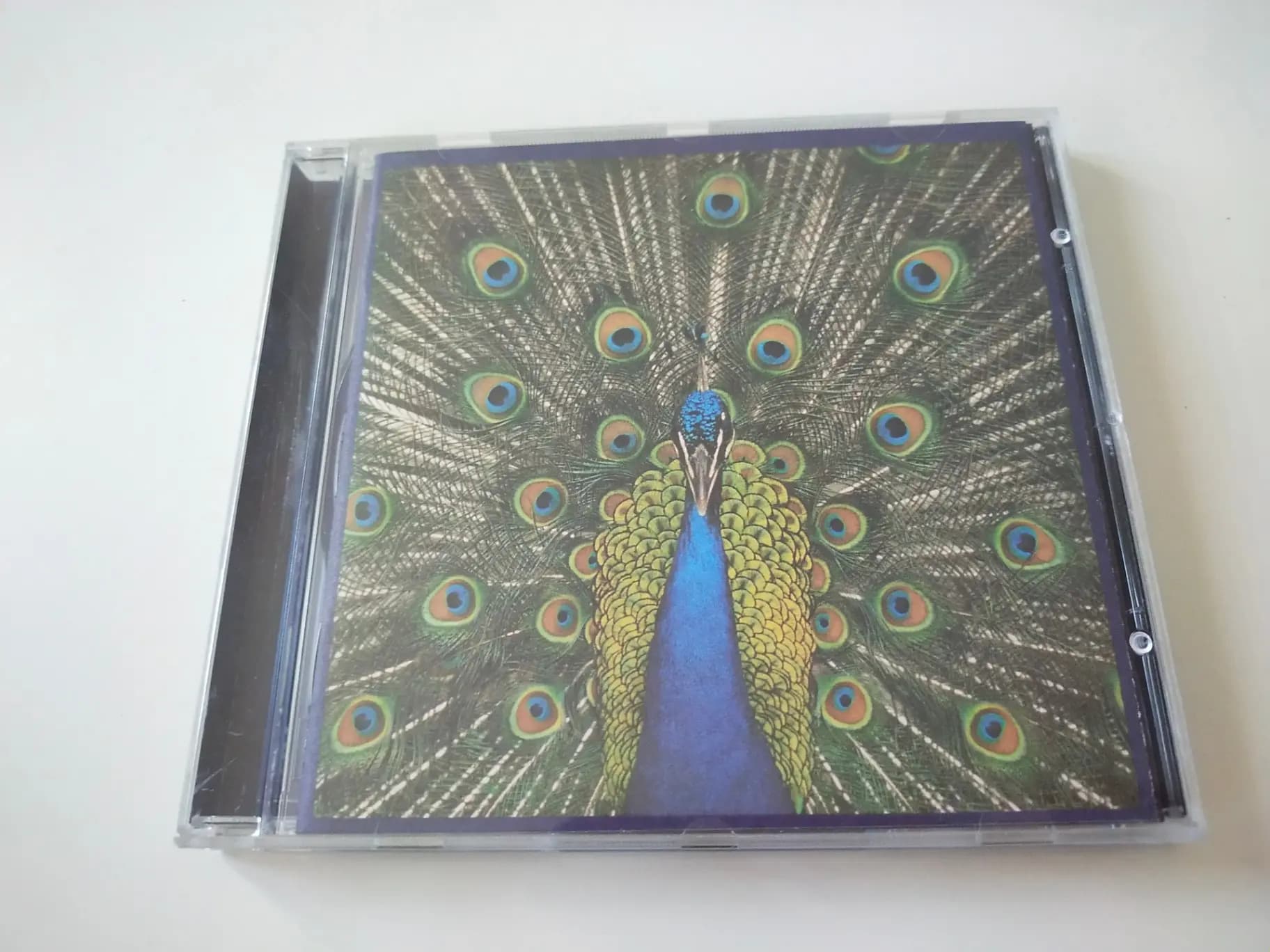 Główne zdjęcie - The Bluetones - Expecting To Fly