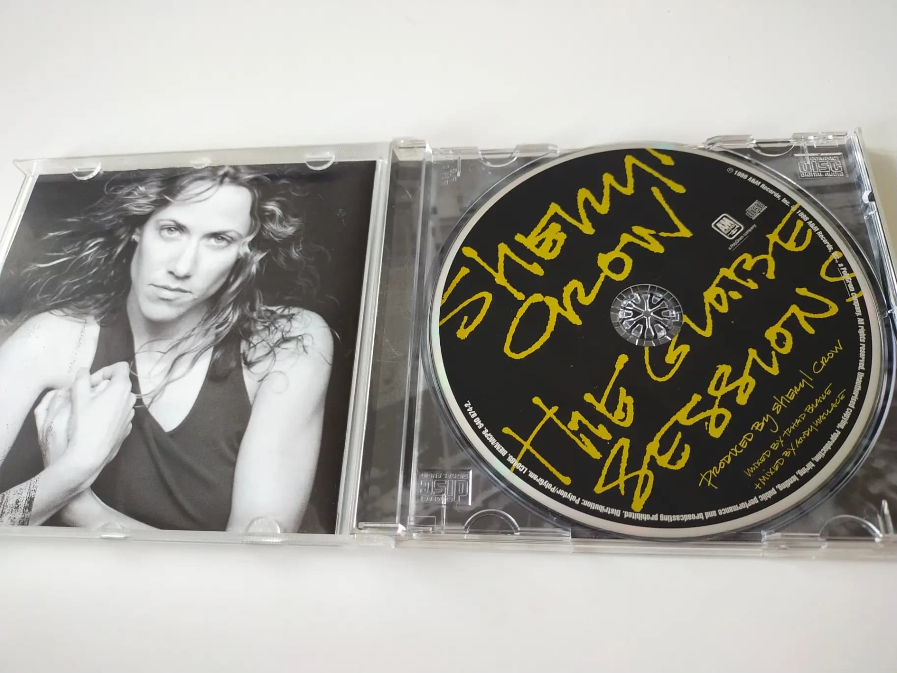 Główne zdjęcie - Sheryl Crow - The Globe Sessions