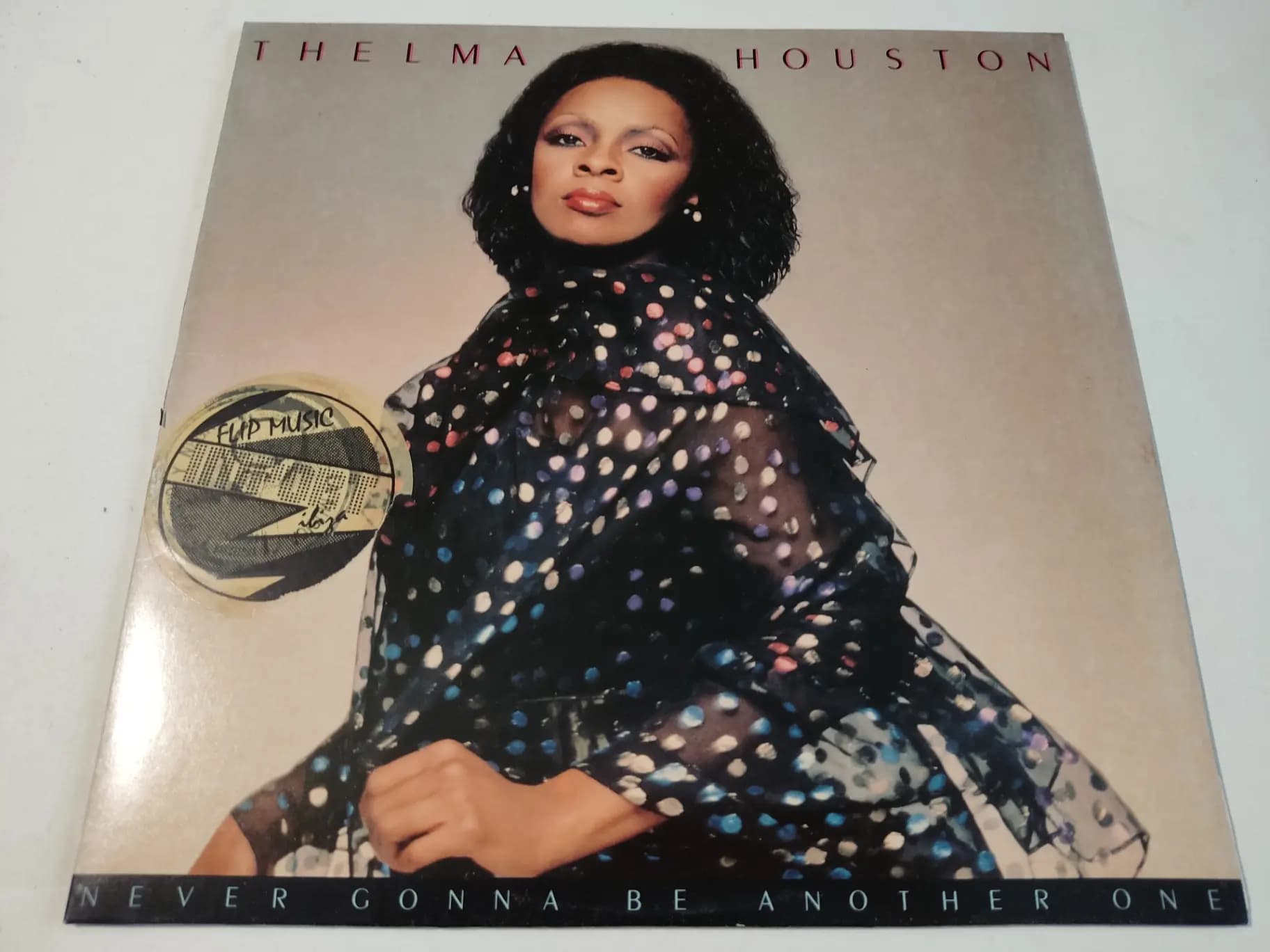 Główne zdjęcie - Thelma Houston - Never Gonna Be Another One