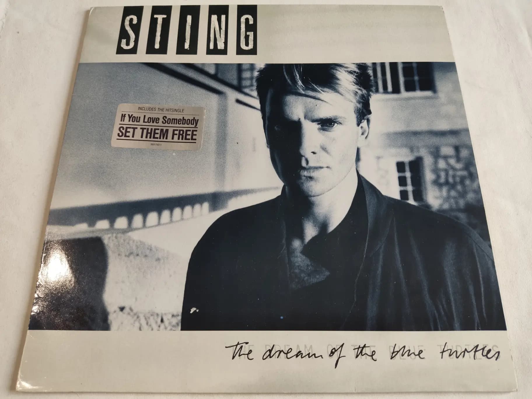 Okładka płyty Sting - The Dream Of The Blue Turtles