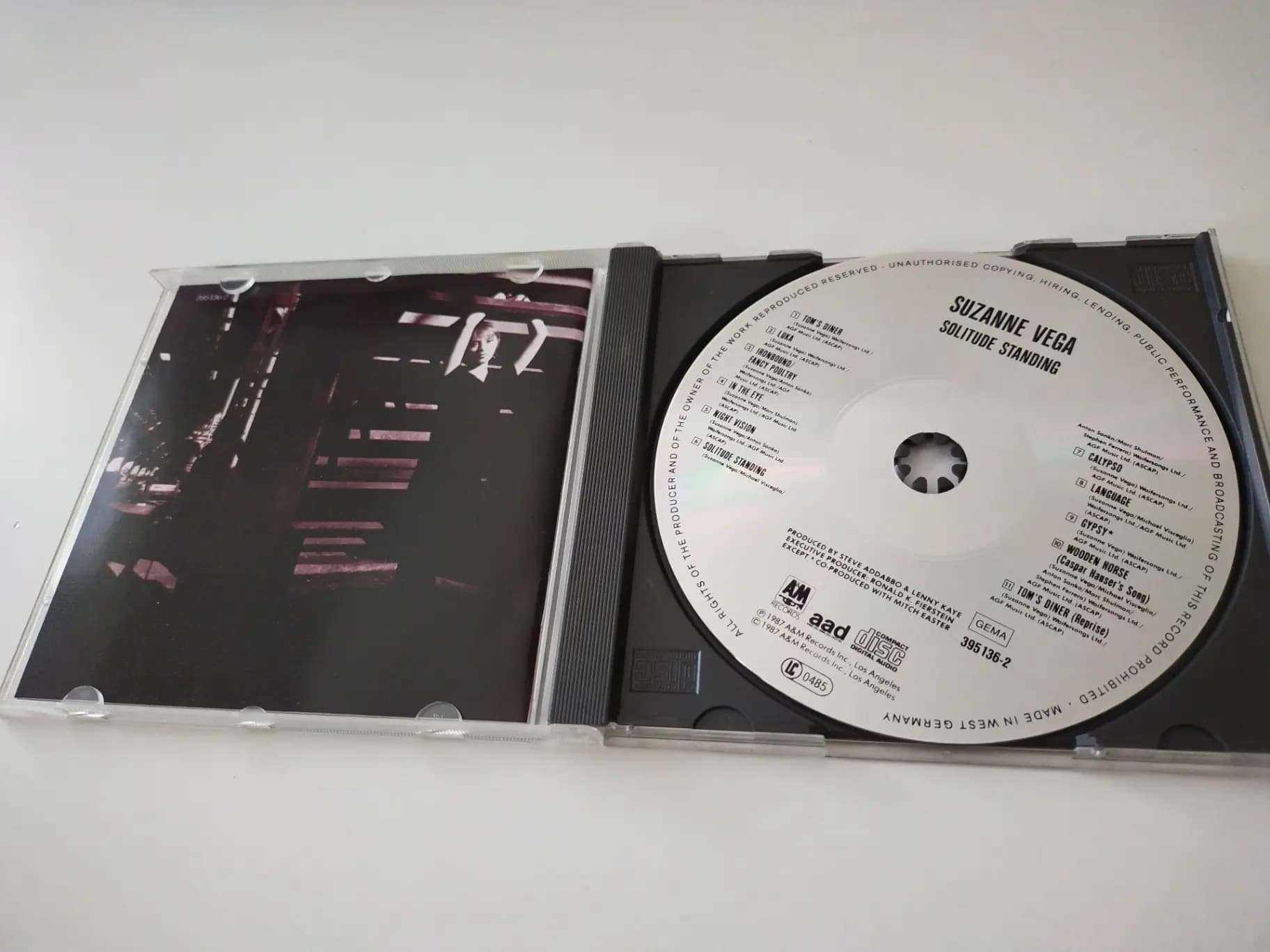 Główne zdjęcie - Suzanne Vega - Solitude Standing