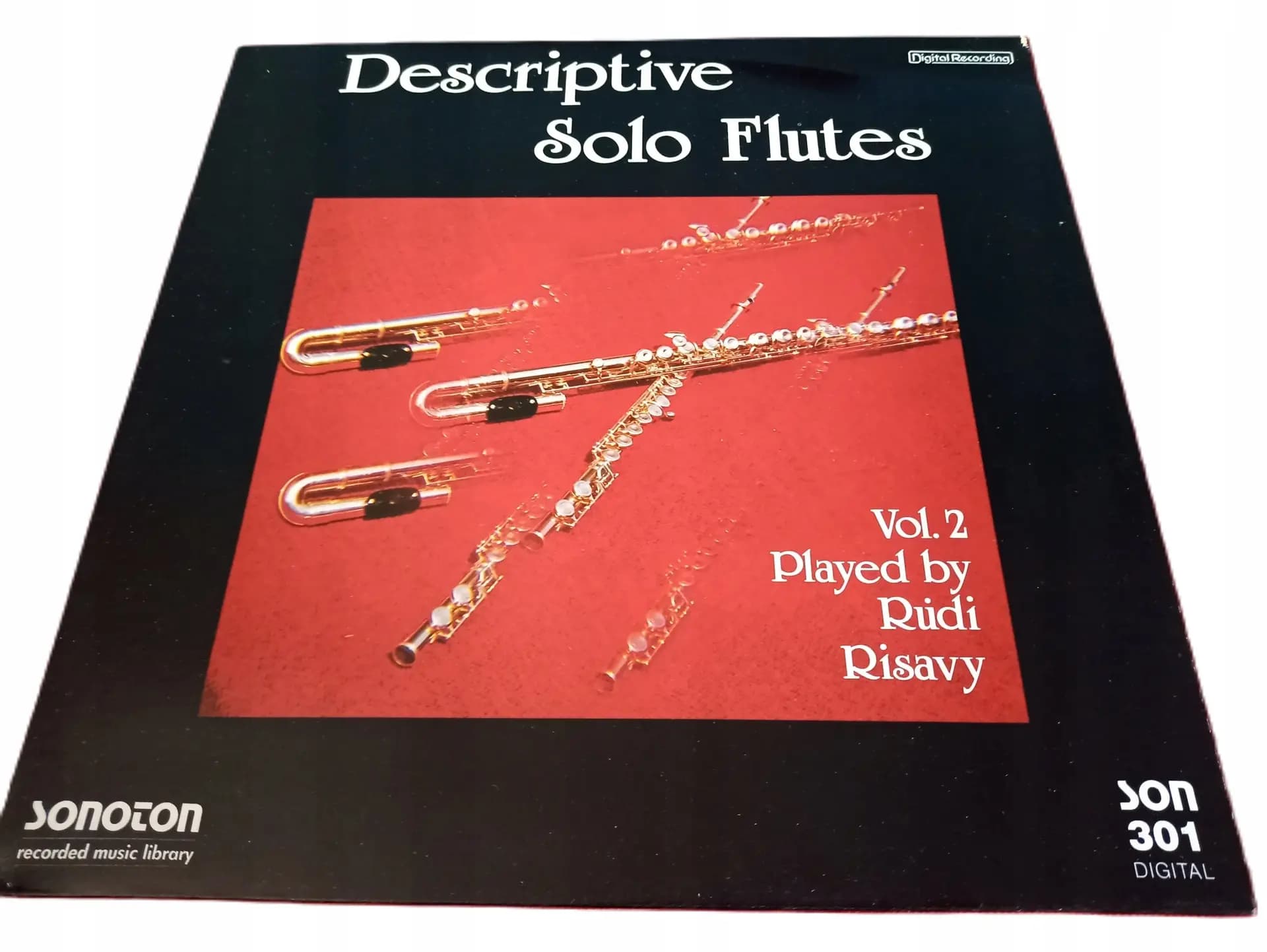 Główne zdjęcie - Rudi Risavy - Descriptive Solo Flutes Vol. 2
