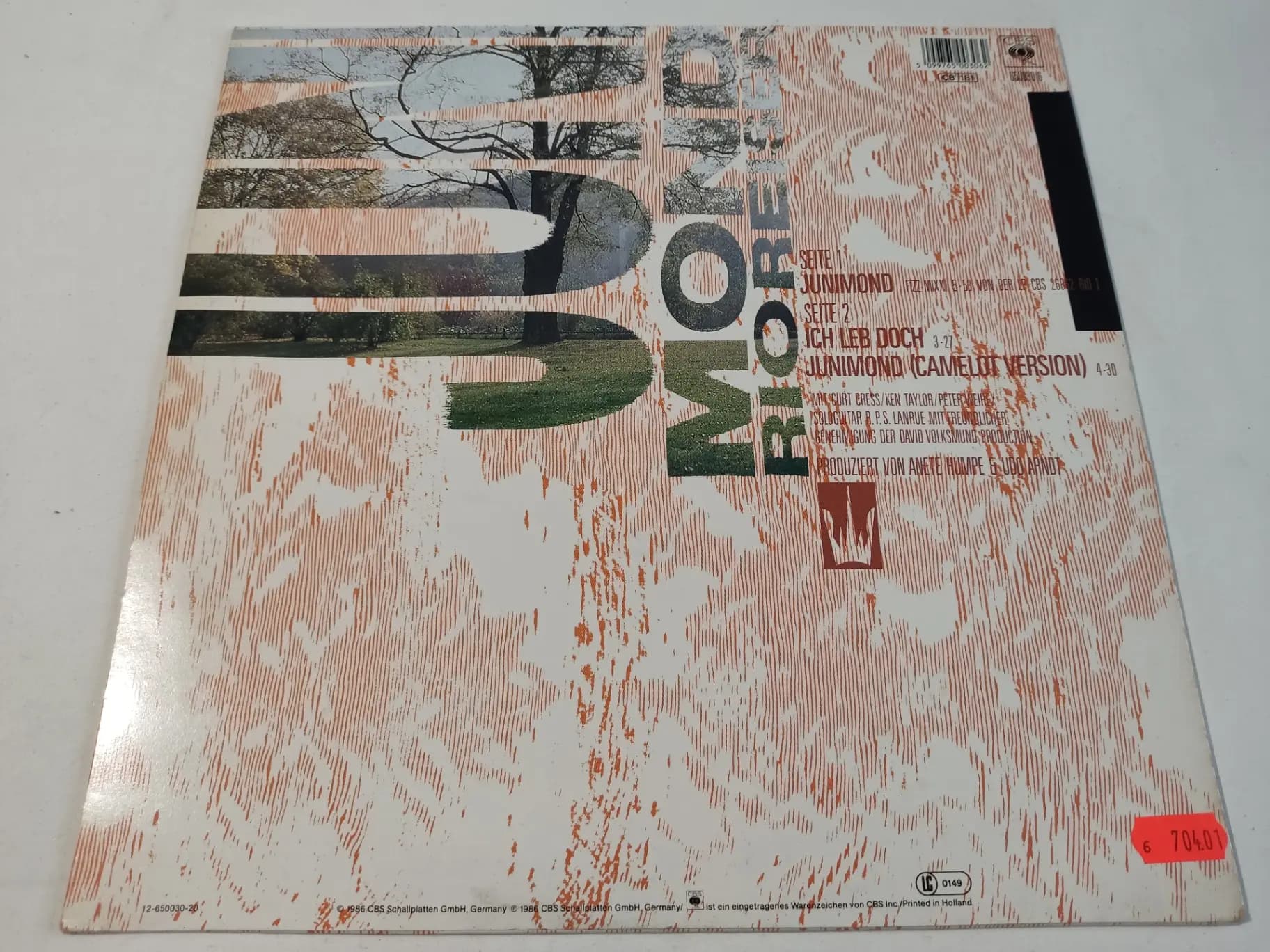 Główne zdjęcie - Rio Reiser - Junimond