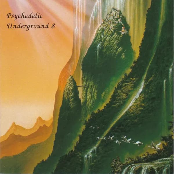 Główne zdjęcie - Various - Psychedelic Underground 8