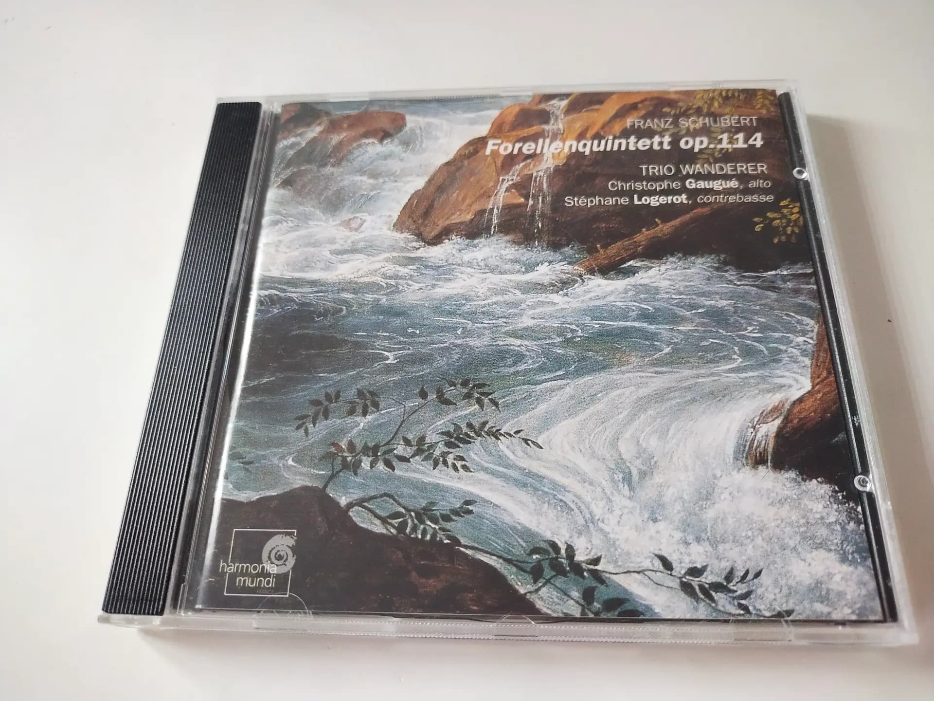 Główne zdjęcie - Schubert, Gaugué, Logerot, Hummel - Forellenquintett Op.114