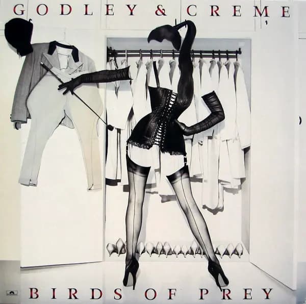 Birds Of Prey - Godley & Creme