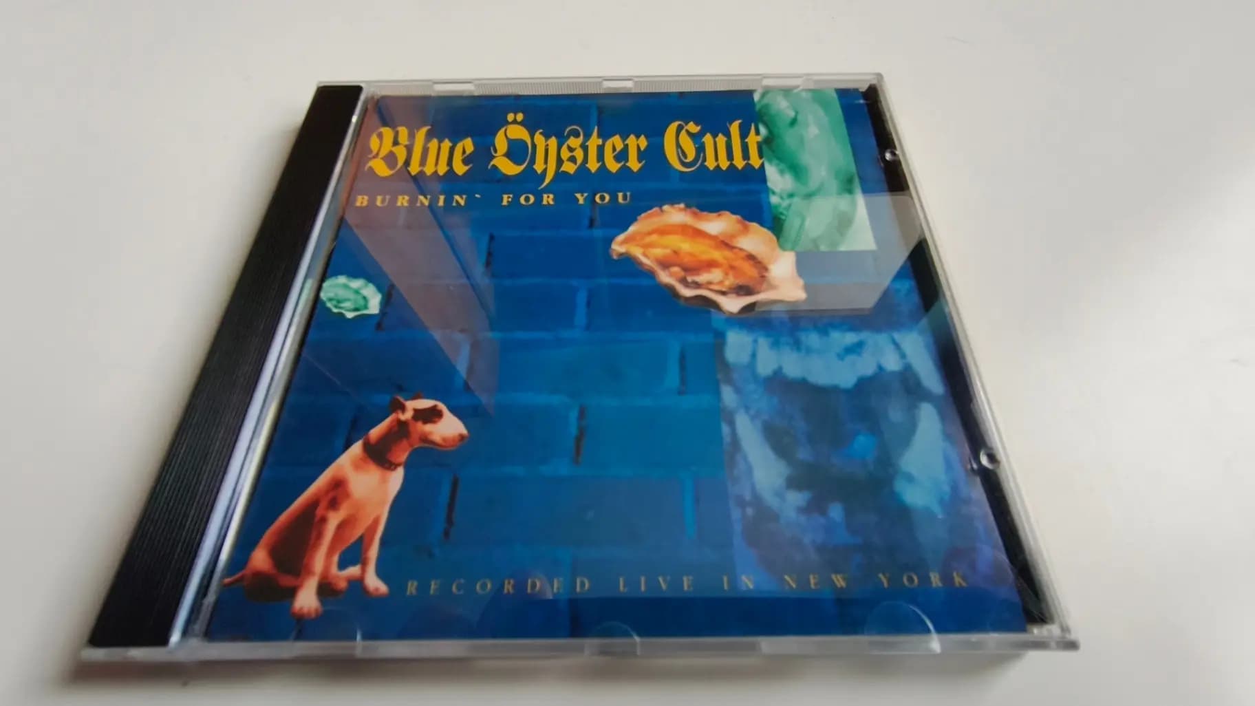 Burnin'For You - Blue Öyster Cult