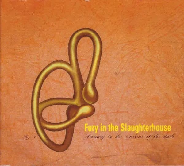 Dancing In The Sunshine Of The Dark - Fury In The Slaughterhouse