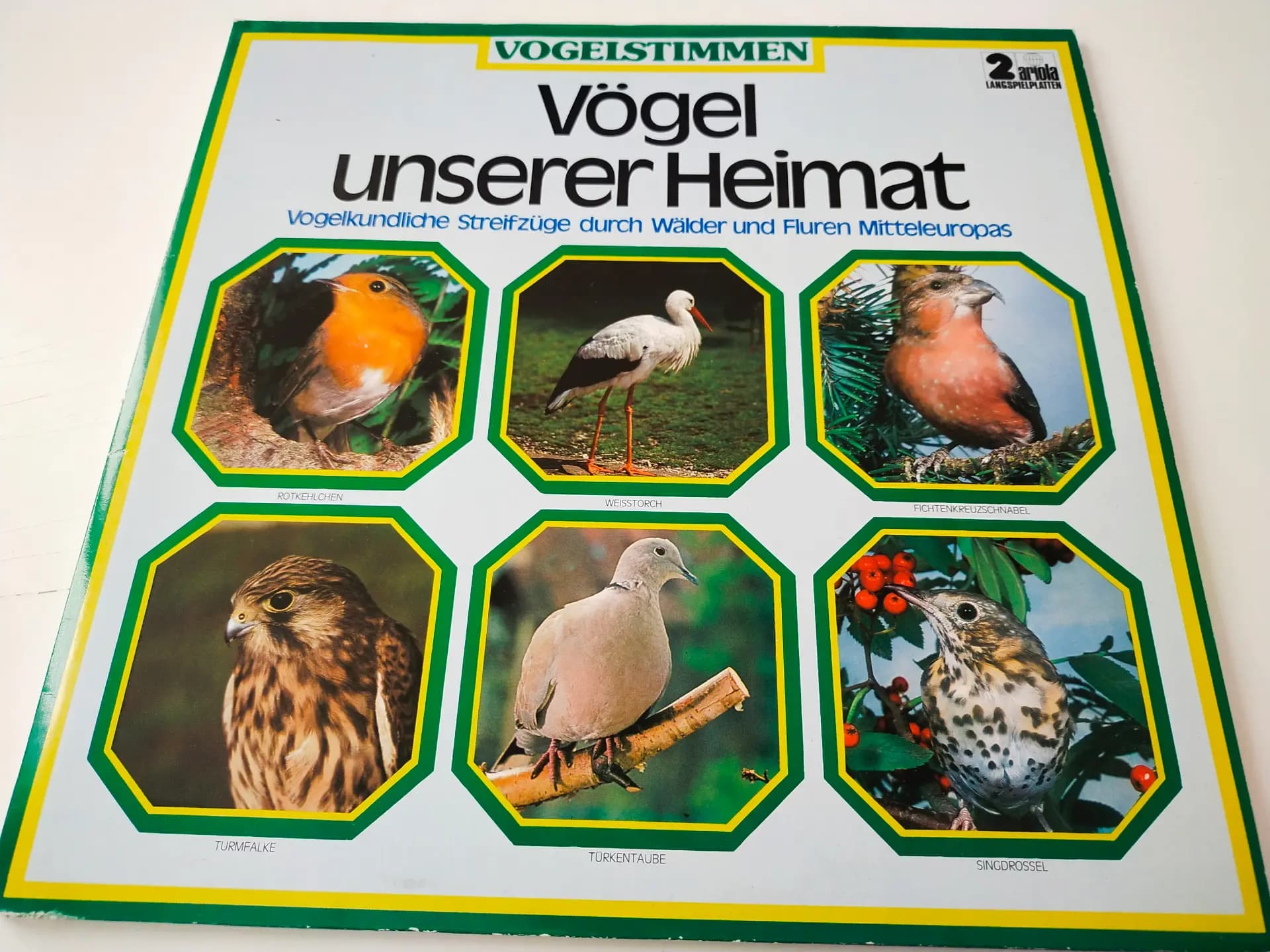 Główne zdjęcie - Tembrock, Schubert - Vogelstimmen - ODGŁOSY PTAKÓW