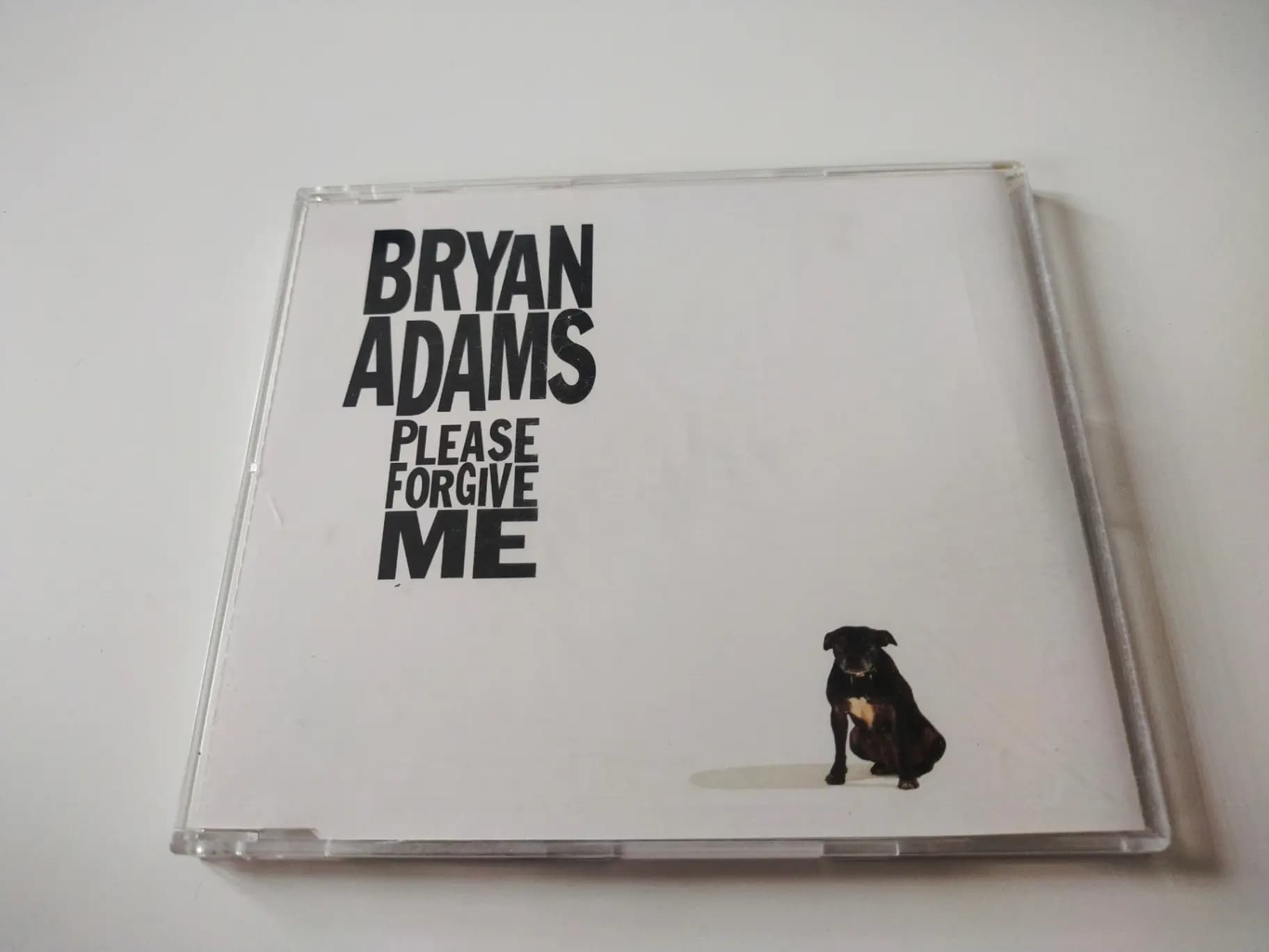 Okładka płyty Bryan Adams - Please Forgive Me