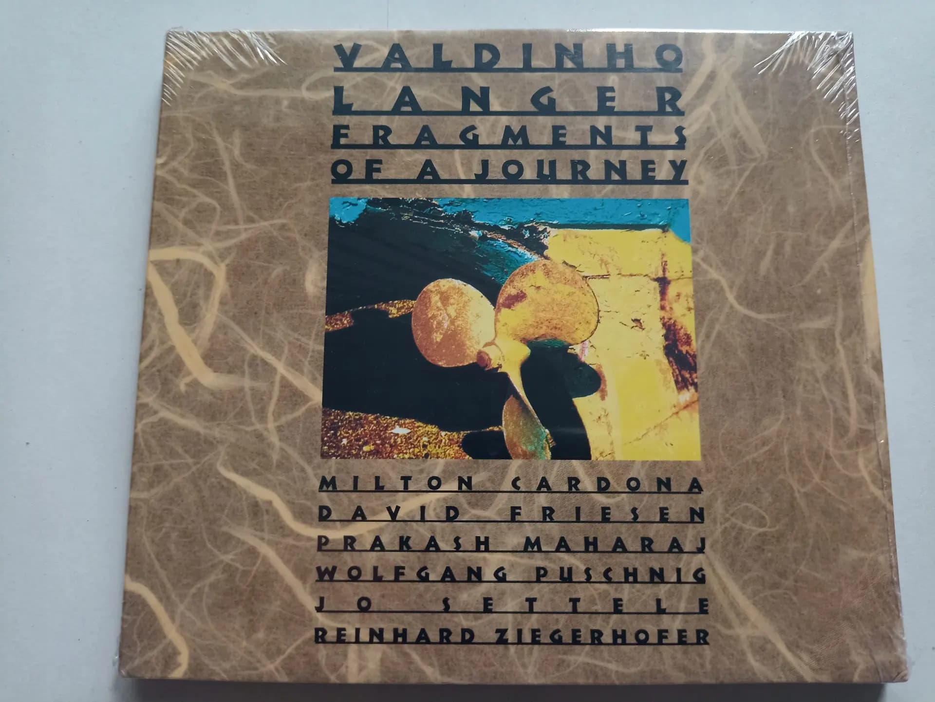 Główne zdjęcie - Valdinho Langer - Fragments Of A Journey