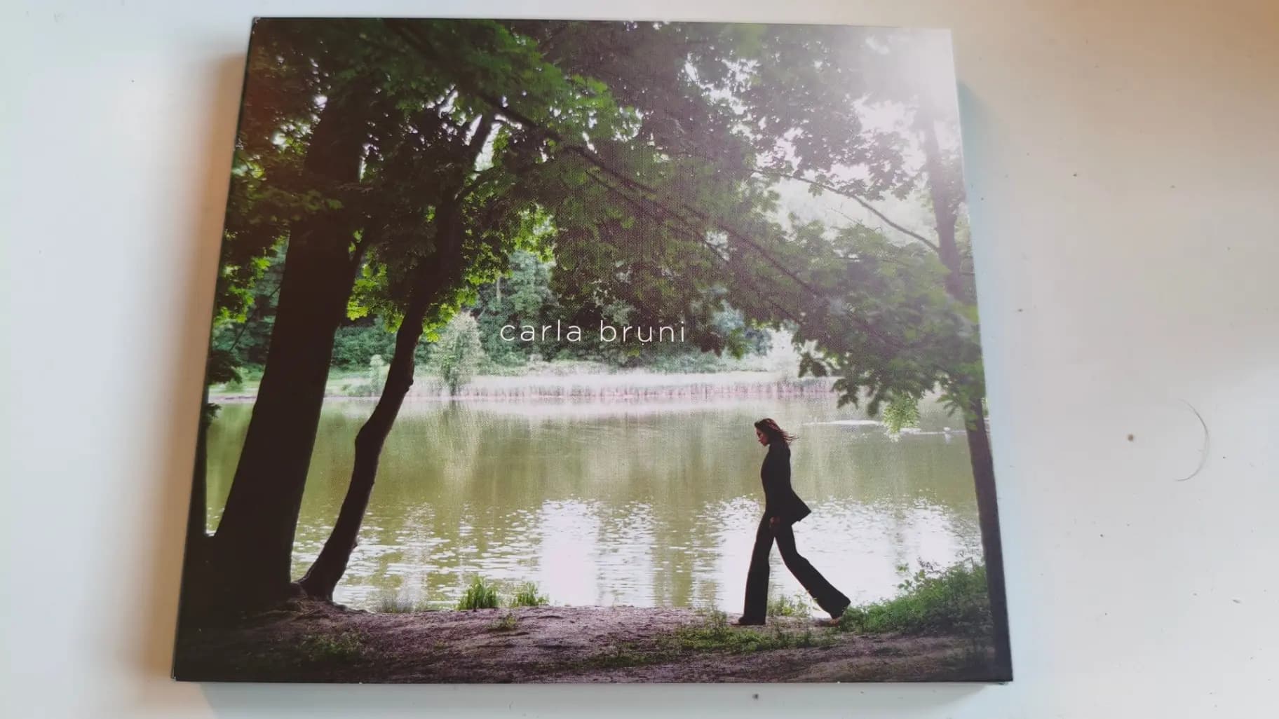 Comme Si De Rien NEtait - Carla Bruni
