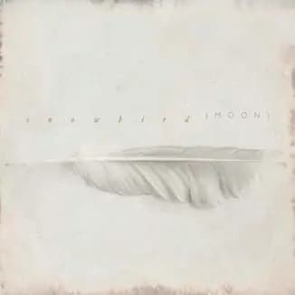 Główne zdjęcie - Snowbird - ( Moon )