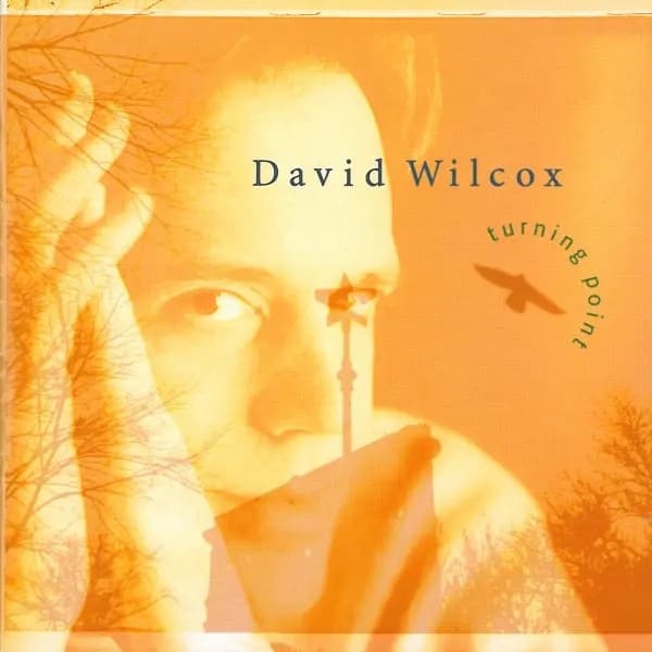 Główne zdjęcie - David Wilcox - Turning Point