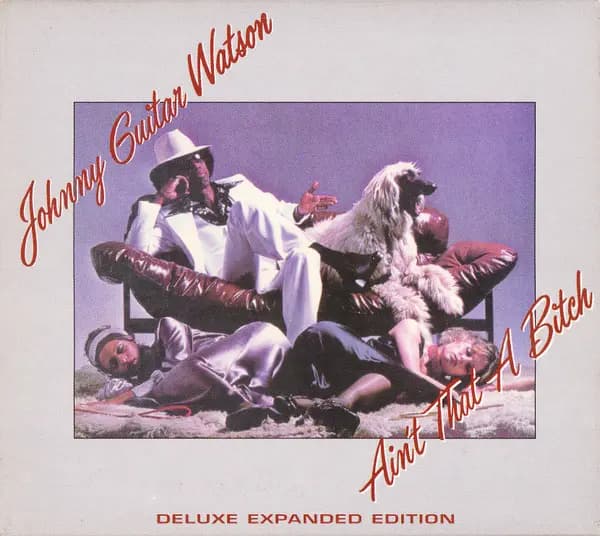 Okładka płyty Johnny Guitar Watson - Ain't That A Bitch