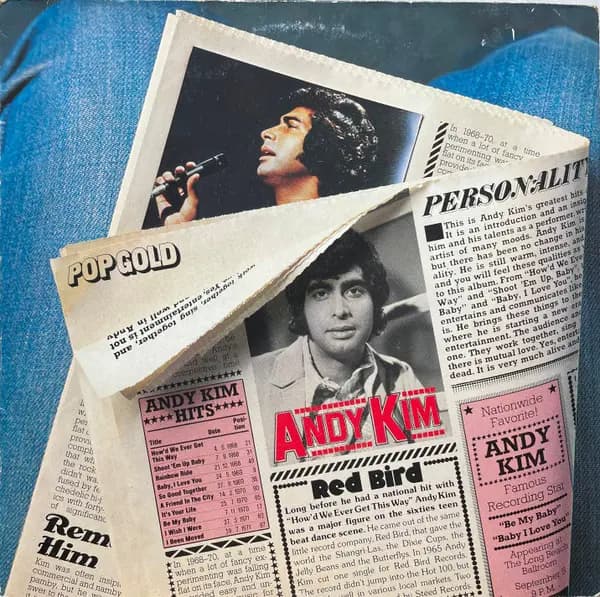 Główne zdjęcie - Andy Kim - Pop Gold