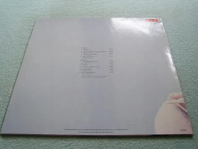 Główne zdjęcie - MORAK - MORAK
