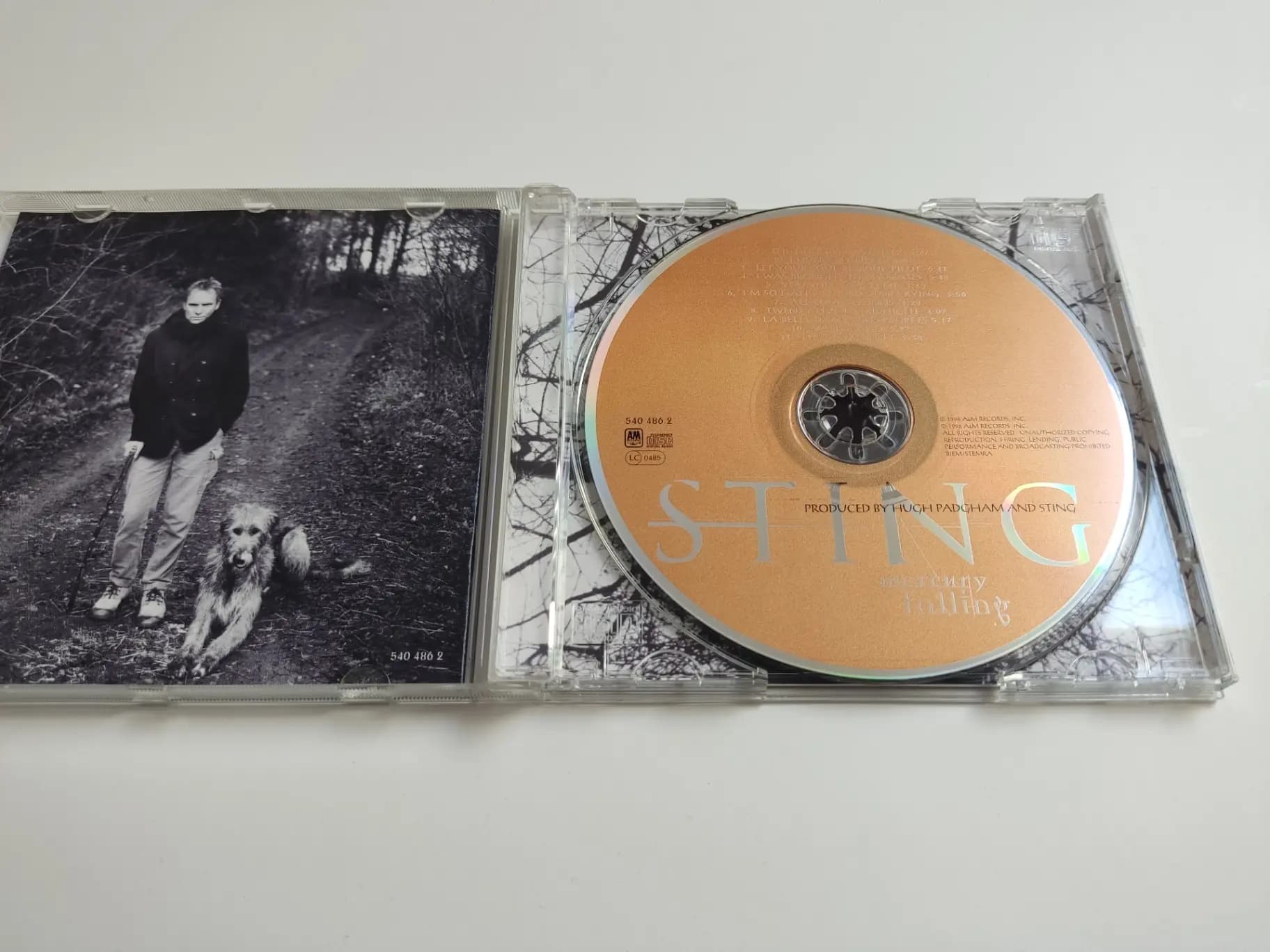 Główne zdjęcie - Sting - Mercury Falling