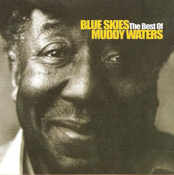 Okładka płyty Muddy Waters - Blue Skies The Best Of