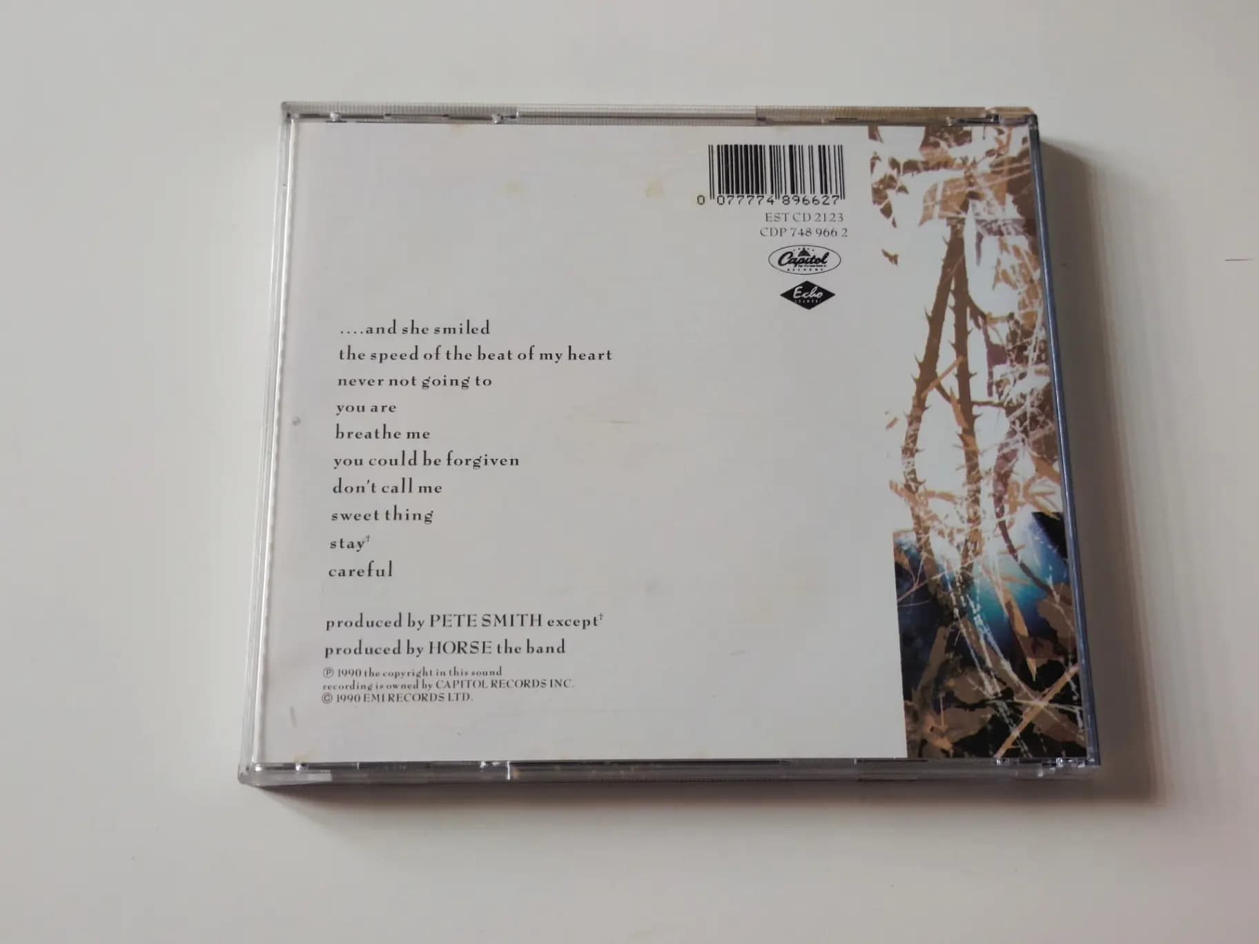 Główne zdjęcie - Horse - The Same Sky