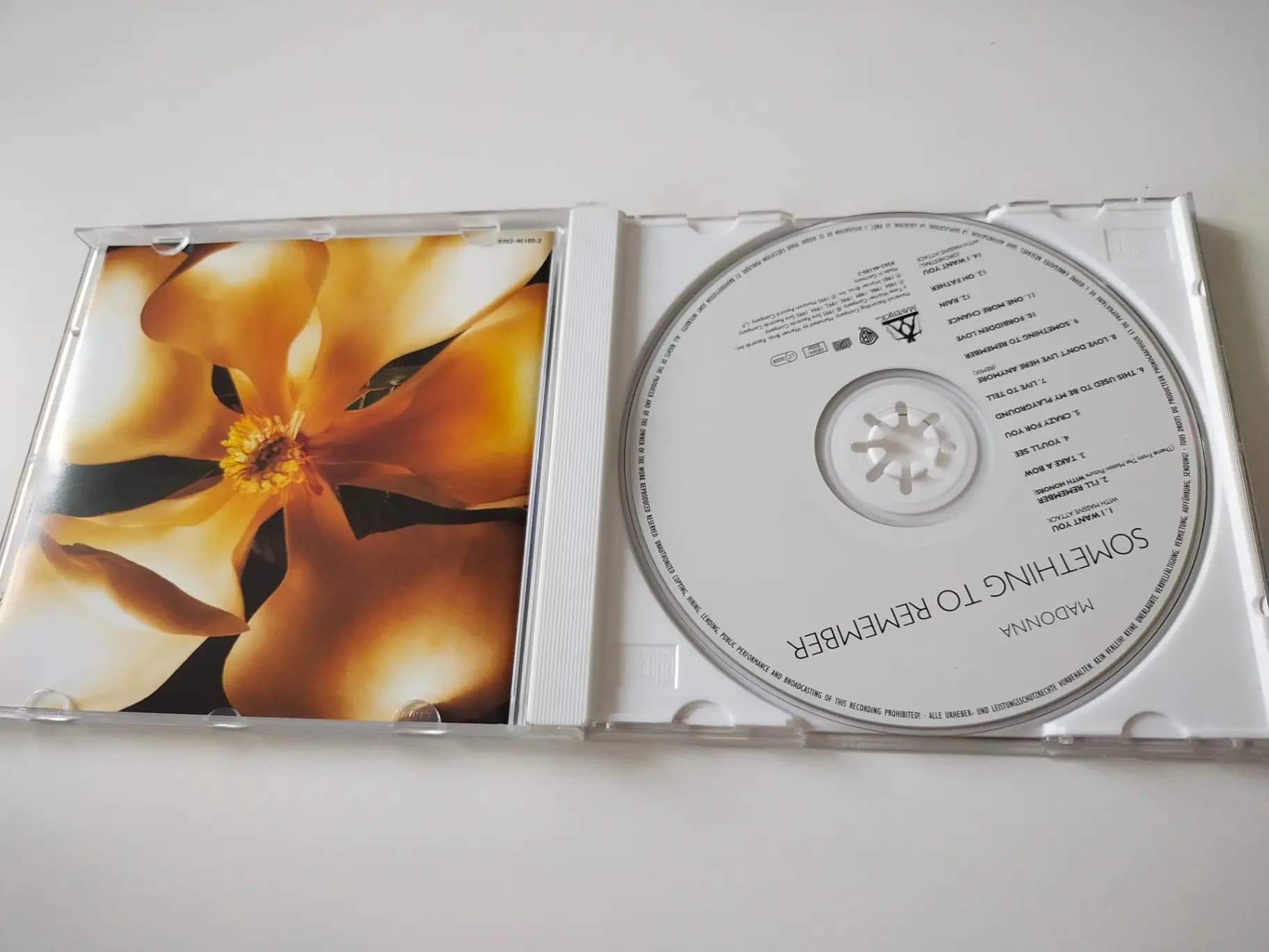 Główne zdjęcie - Madonna - Something To Remember