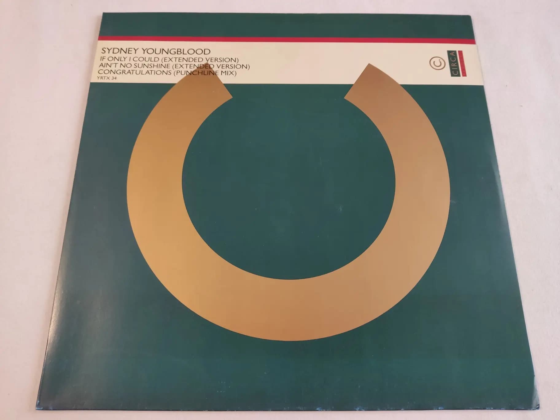 Okładka płyty Sydney Youngblood - If Only I Could