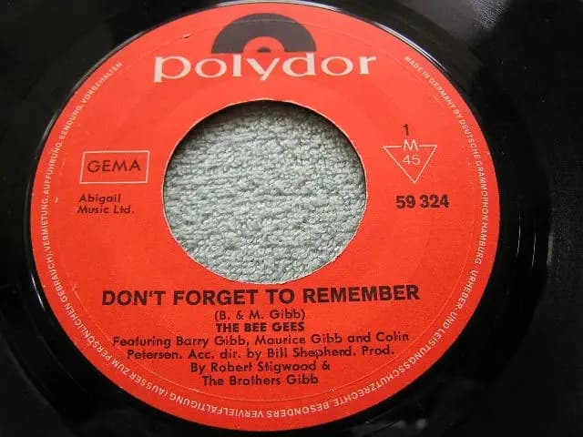 Główne zdjęcie - Bee Gees - Don't Forget To Remember