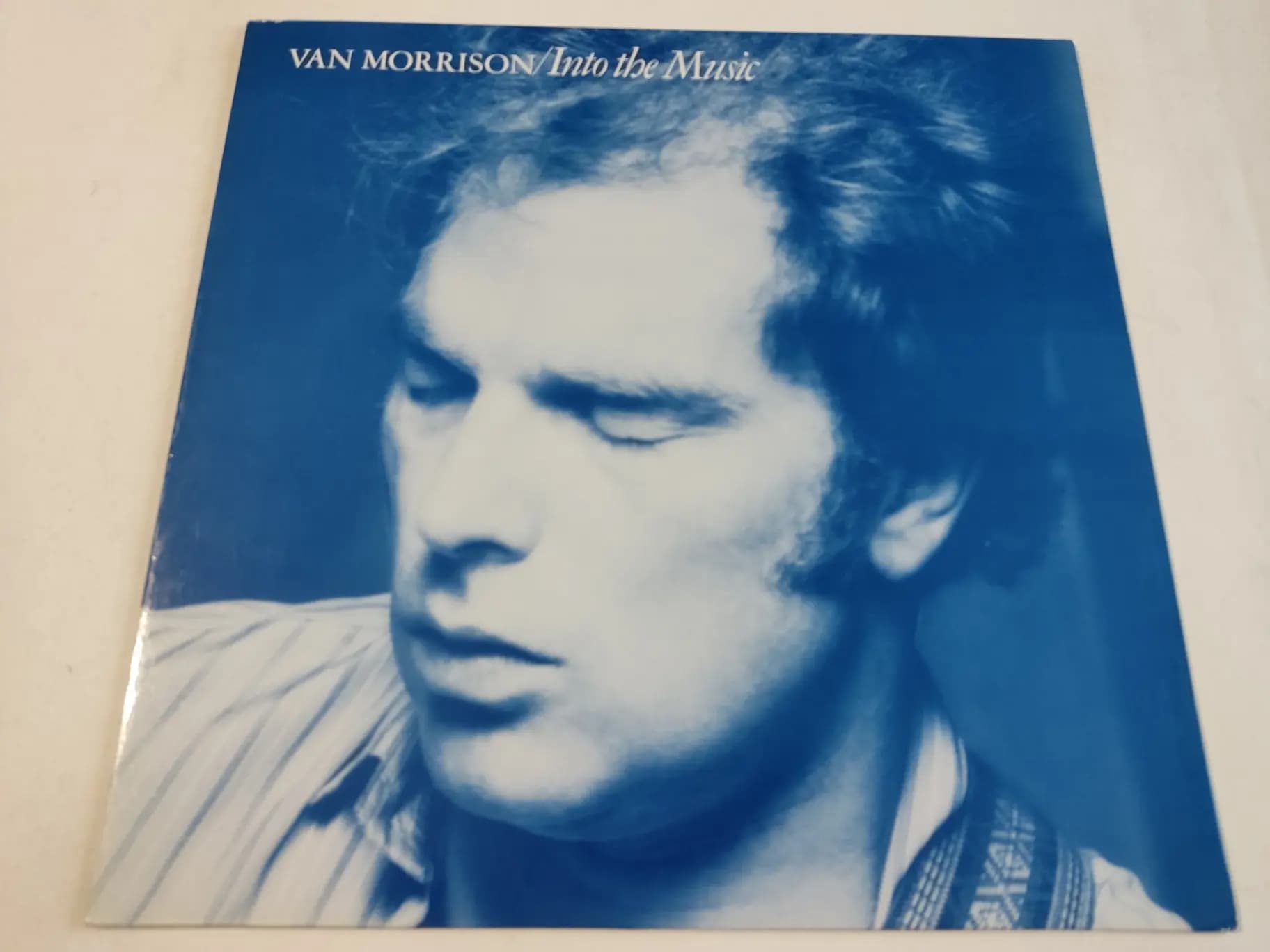 Główne zdjęcie - Van Morrison - Into The Music