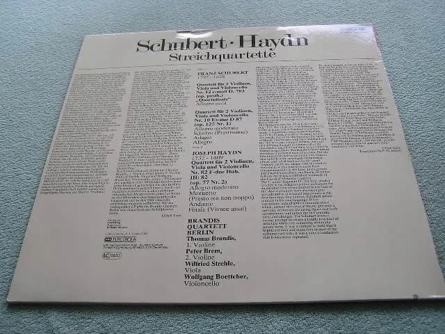 Główne zdjęcie - Schubert / Haydn - Streichquartett - Schubert / Haydn - Streichquartett