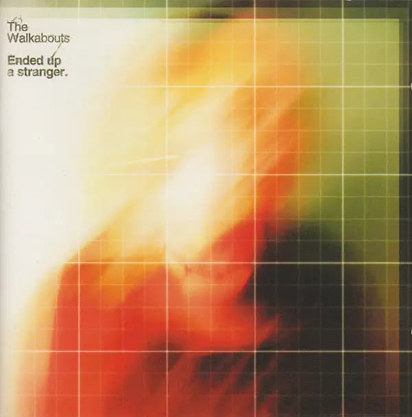 Główne zdjęcie - The Walkabouts - Ended Up A Stranger