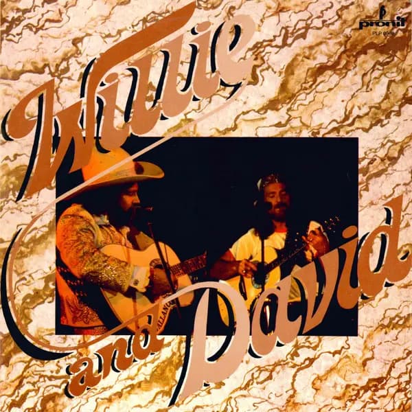 Okładka płyty Willie Nelson, David Allan Coe - Willie And David