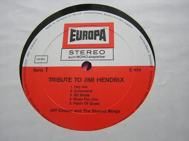 Główne zdjęcie - Jeff Cooper And The Stoned Wings - Tribute To Jimi Hendrix