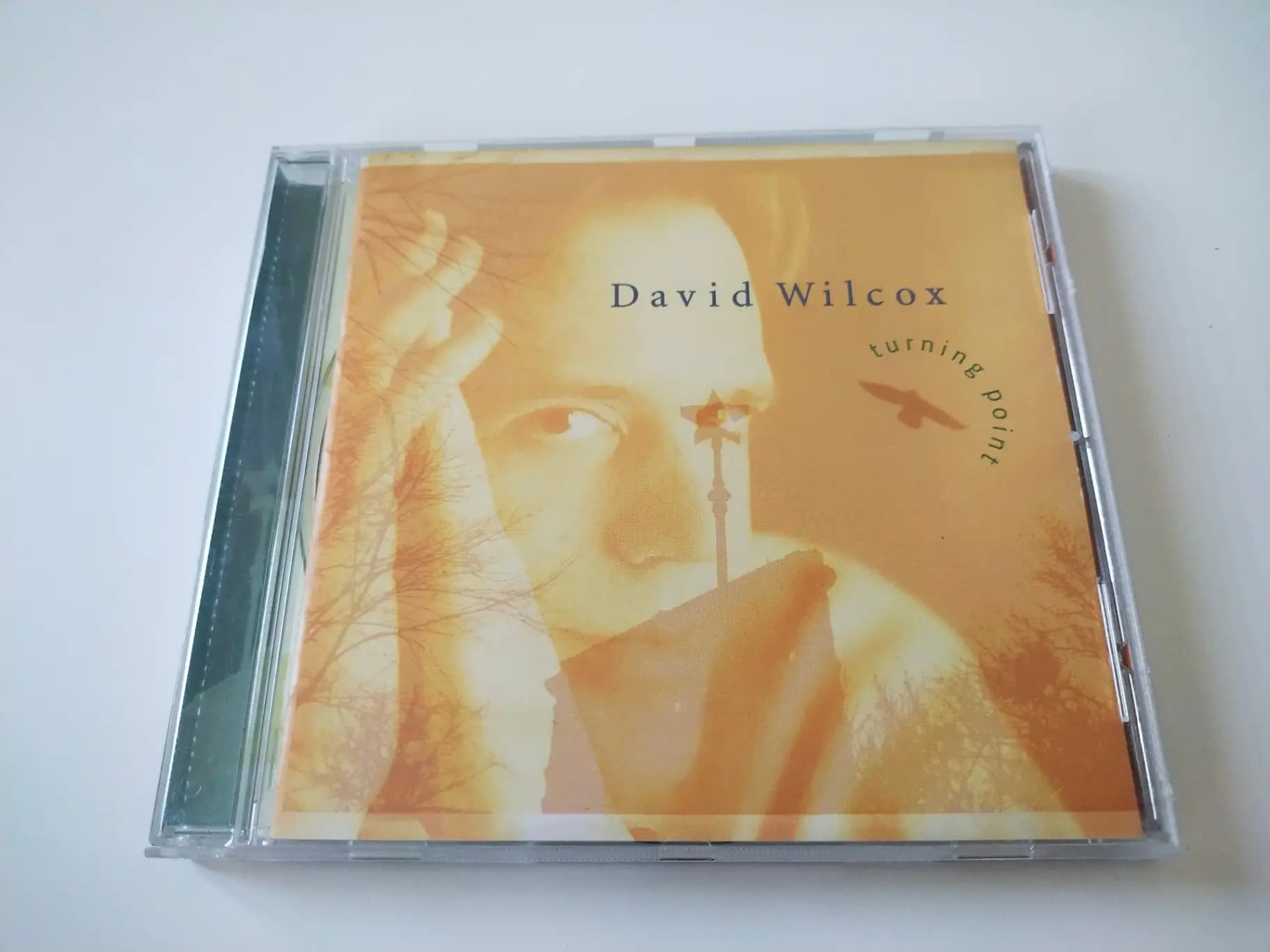 Główne zdjęcie - David Wilcox - Turning Point