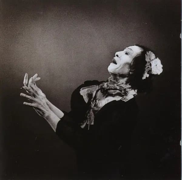 Okładka płyty Antony And The Johnsons - The Crying Light