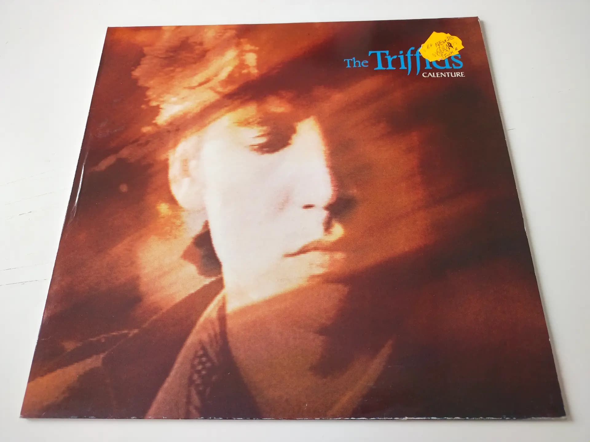 Główne zdjęcie - The Triffids - Calenture