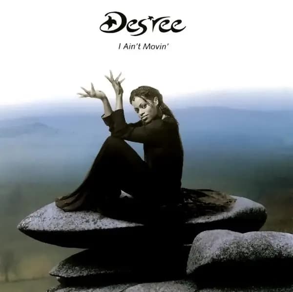 I Ain't Movin' - Des'ree