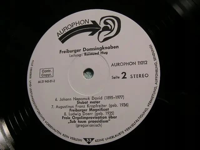 Główne zdjęcie - FREIBURGER DOMSINGKNABEN - HUG - FREIBURGER DOMSINGKNABEN - HUG
