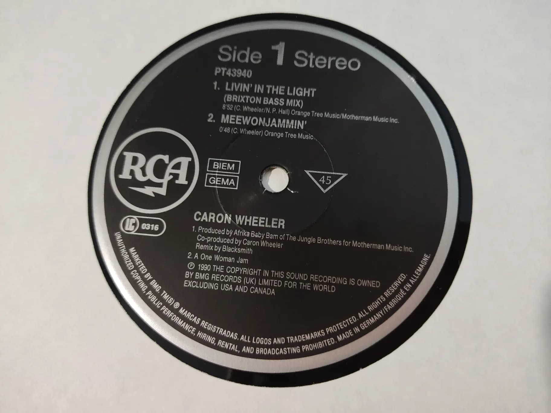 Główne zdjęcie - Caron Wheeler - Livin' In The Light