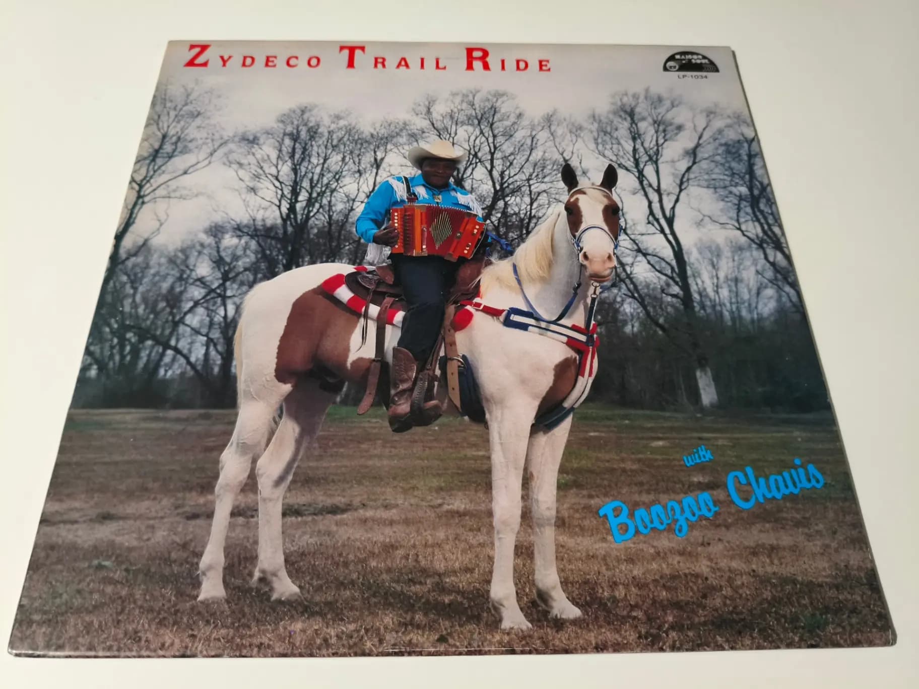 Główne zdjęcie - Boozoo Chavis - Zydeco Trail Ride
