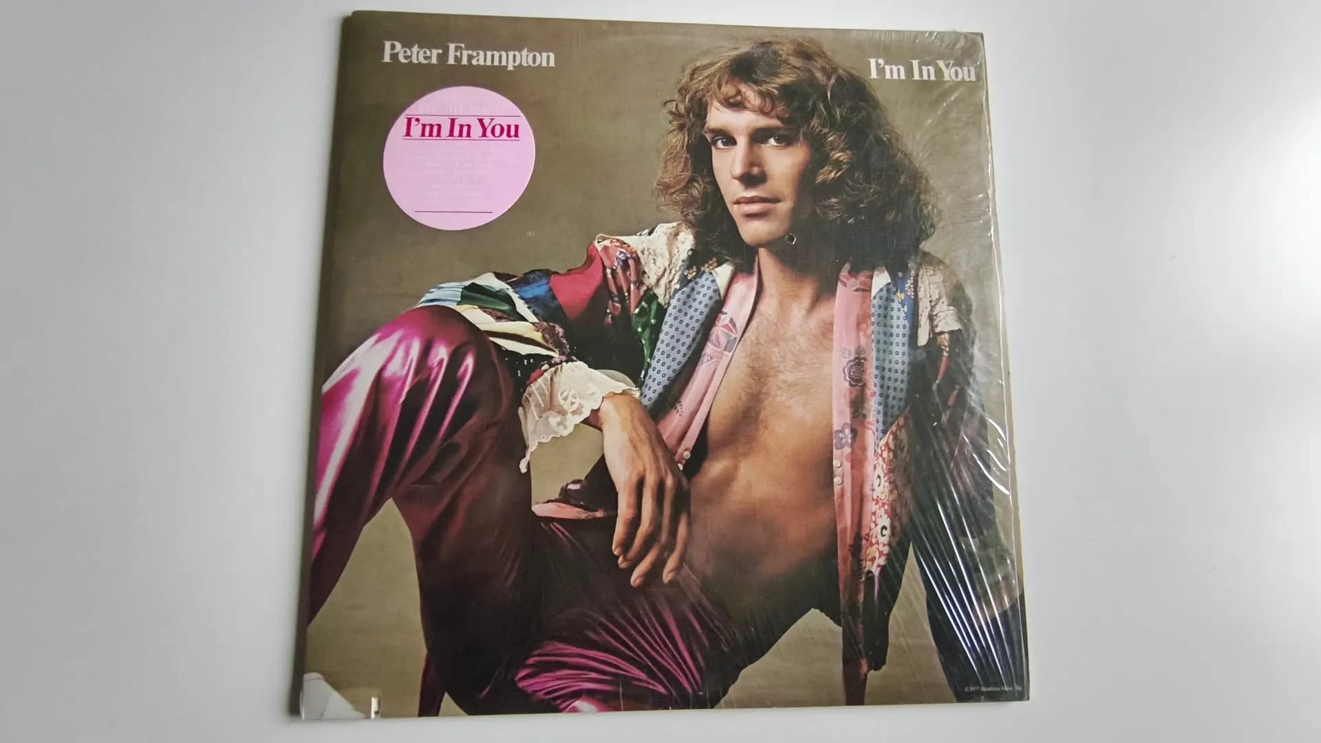 I'm In You - Peter Frampton