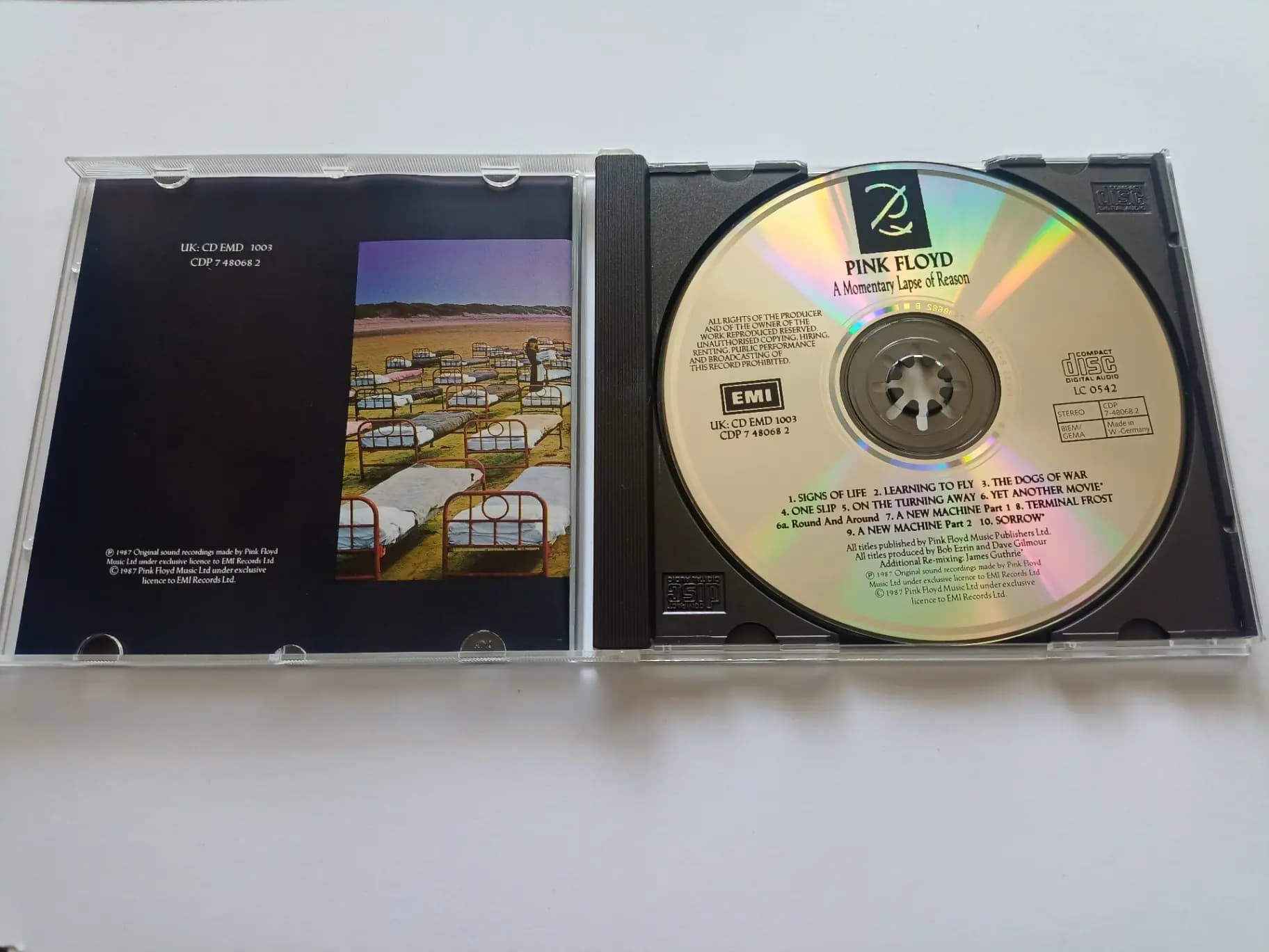 Główne zdjęcie - Pink Floyd - A Momentary Lapse Of Reason