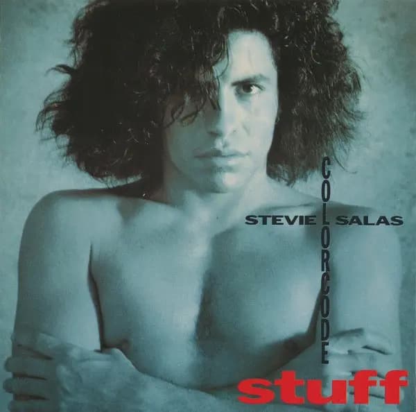 Główne zdjęcie - Stevie Salas Colorcode - Stuff