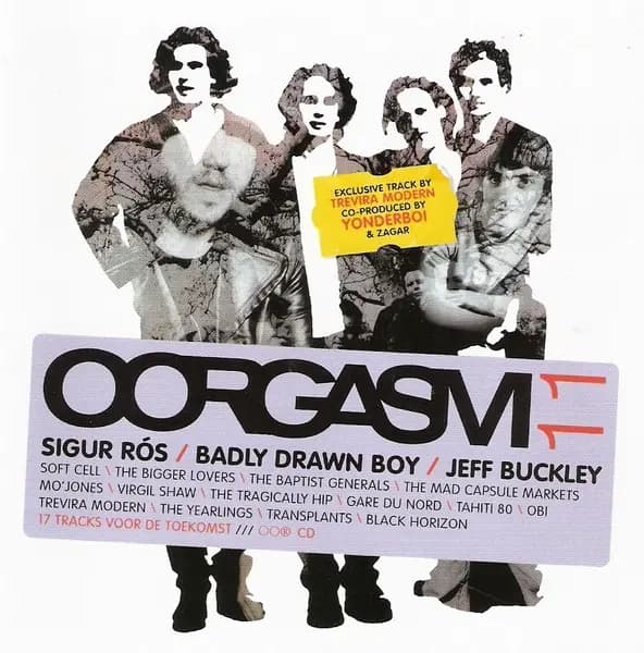 Główne zdjęcie - Various - Oorgasm 11