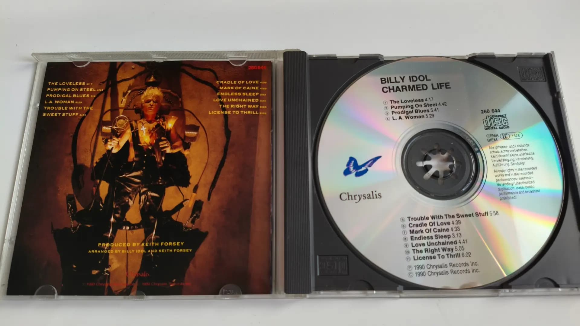 Główne zdjęcie - Billy Idol - Charmed Life