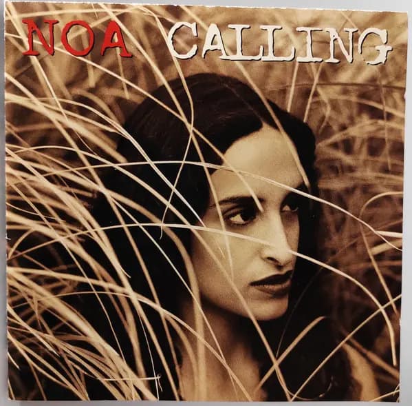 Okładka płyty Noa - Calling