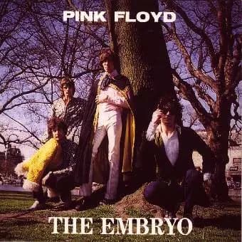 The Embryo - Pink Floyd